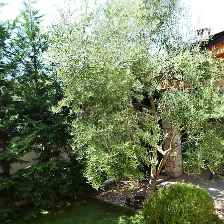 Gloria Blue 1 Apartament *