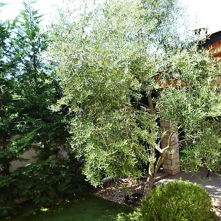 Gloria Blue 1 Apartament *