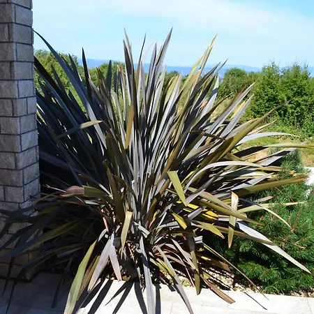 Gloria Blue 1 Apartment